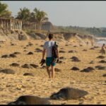 Adompretur y FIPETUR reconocen a personalidades del turismo de República Dominicana
