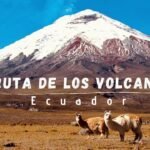 Madrid apuesta por fortalecer su presencia en el mercado latinoamericano y brasileño, con especial interés en México y Perú