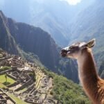 RESUMEN ANUAL DE VISITANTES AL PERÚ EN 2025